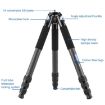 BEXIN RC294 Carbon Fiber Tripod with K44 Panoramic Ball Head - 2