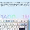 AULA F75 80-Key RGB Mechanical Keyboard - Wired/2.4G/Bluetooth, Blue - 5
