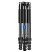 BEXIN W-334C Carbon Fiber Tripod & Monopod for DSLR Camera (Black) - 2