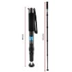 BEXIN P365C Carbon Fiber Camera Monopod Travel Selfie Bracket Holder - 2