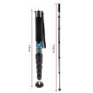 BEXIN P336C Carbon Fiber Camera Monopod Travel Selfie Bracket Holder - 2