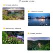 JSR Drone Lens Filter Set for DJI MAVIC Mini - UV, CPL, ND4, ND8, ND16, ND32 - 8