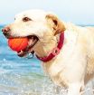Pink Donut Pet Collar Silicone Cover for AirTag - Anti-scratch & Shockproof - 7