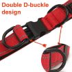 Orange Pet Reflective Collar with Black Buckle & 1.8m Leash, Size S - 6