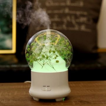 Gypsophila Flowers Aromatherapy Diffuser 100ML LED Humidifier Green - 1