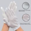 Anti-static Striped Dispensing Gloves, 10 Pairs, Free Size - 6
