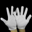 Anti-static Striped Dispensing Gloves, 10 Pairs, Free Size - 9