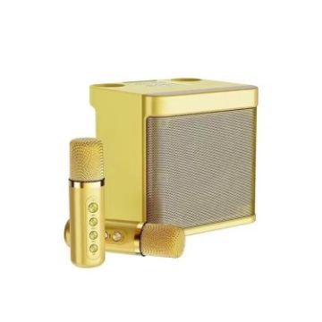 YS-203 Gold Bluetooth Karaoke Speaker with Wireless Microphone - 1