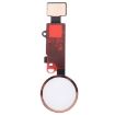 iPhone 8 Plus Gold Home Button Flex Cable - No Fingerprint Support - 2