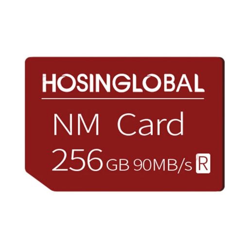 HOSINGLOBAL 256GB NM Card - 90MB/s Speed - 1