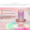 FEELWORLD VM1 USB Condenser Gaming Microphone - Pink, Noise Cancel, RGB - 9