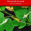 10 PCS 4cm Fluorescent Soft Shrimp Bait Lures with Hook - 8