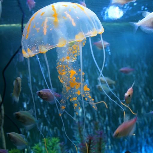 Orange Silicone Jellyfish Aquarium Decoration - 5x17cm Fluorescent Sucker - 1