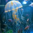 Silicone Simulation Fluorescent Jellyfish Aquarium Decor, 8x20cm Orange - 2