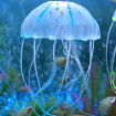 Blue Silicone Jellyfish Aquarium Decoration - 8x20cm Fluorescent Sucker - 1
