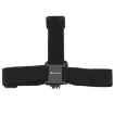 Elastic Head Strap Mount for GoPro, Insta360, DJI Osmo & Action Cameras - 2