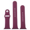 Violet Rubber Watch Band for Apple Watch Ultra/Series 9-1, 3 Sizes - 4