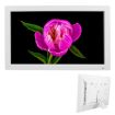XCLT1850 18.5" LED Digital Photo Frame, UK Plug, White Display - 1
