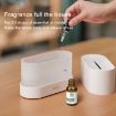 Black Flame Aroma Diffuser Night Light Humidifier - Google Shopping Ad - 6