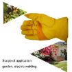 JJ-1004 Yellow Leather Welding Safety Gloves, Size S - Outdoor Garden - 6