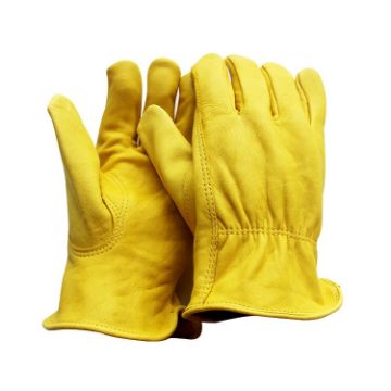 JJ-5002 Genuine Leather Safety Gloves, Outdoor Riding/Gardening, Size S - 1