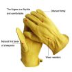 JJ-5002 Genuine Leather Safety Gloves, Outdoor Riding/Gardening, Size M - 4