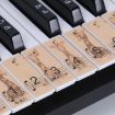 Giraffe Piano Keyboard Stickers for M52 88/76/61/54/49 Keys - 1