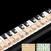 Giraffe Piano Keyboard Stickers for M52 88/76/61/54/49 Keys - 3