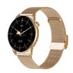 HD1 Smart Watch Gold Steel+Silicone, 1.3" AMOLED Screen, NFC Function - 1