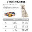 Geometric Print Ethnic Pet Collar for AirTag, Size S, Blue - 3