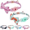 Luminous Blue Pet Tracker Collar with AirTag Insert Buckle Bow - 2