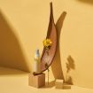 Cocoa Leaves 20-32cm Natural Plant Shooting Props Dry Flower Ornaments - 5