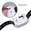 Wireless Electric Dog Fence Shock Collar for Two Dogs - KD-661 (AU Plug) - 5