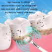 Electric Dental Scaler Replacement Heads - 5pcs Green Toothbrush Heads - 8