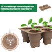 6 Holes Brown Silicone Folding Nursery Box for Plants & Flowers - 7
