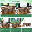 6 Holes Brown Silicone Folding Nursery Box for Plants & Flowers - 8