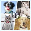 AirTag Pet Collar Locator Case - Waterproof Silicone Cover (White) - 6