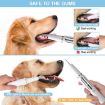 Ultrasonic Dog Teeth Cleaner - Electric Tartar Remover for Pets (White) - 6