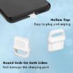 USB-C Charging Port Dust Plug & Lanyard Cleaning Brush Set - Black - 4
