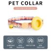 Airtag Tracker Cat Collar Case with Bell - Blue Gradient GPS Protector - 5