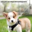 Pet Recorder Collar Camera for Cats & Dogs, WiFi, No Memory Card, Black - 3