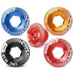 ENLEE M20 Gold Aluminum Bicycle Crank Cover Screws - 2