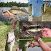 HENGJIA SO192 4.8cm Vegetable-Head Tube Lure 20pcs Pack Style 1# Bait - 6