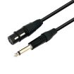 VEGGIEG 3Pin XLR Speaker Cable 0.5m, 6.5mm to XLR Female Audio - 1