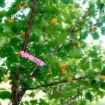100 PCS White Hanging Tree Labels for Gardening Plant Saplings - 4