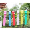 100 PCS Blue Hanging Tree Labels for Gardening Plant Saplings - 5