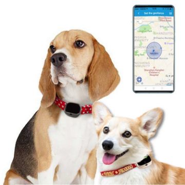 RF-V43 Waterproof GPS Pet Collar Tracker - Asia/Europe/Africa/Australia - 1