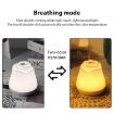 Rechargeable 3W Rose Night Light - Touch Sensor Bedside Ambient Lamp - 9