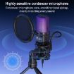 Yanmai SF-777R RGB Light Desktop Microphone with Noise Reduction & Anti-spray Net - 6